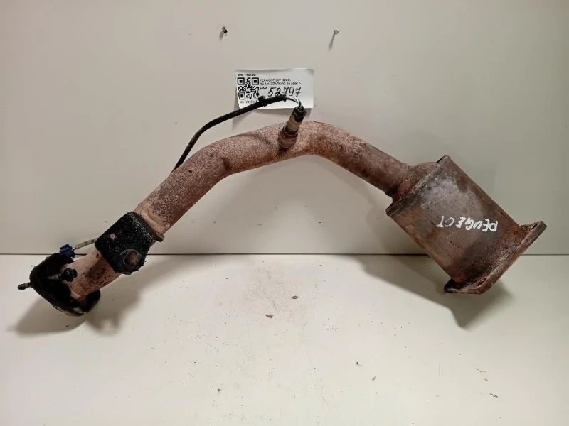 Catalizzatore 1731ZQ Peugeot 207 2006