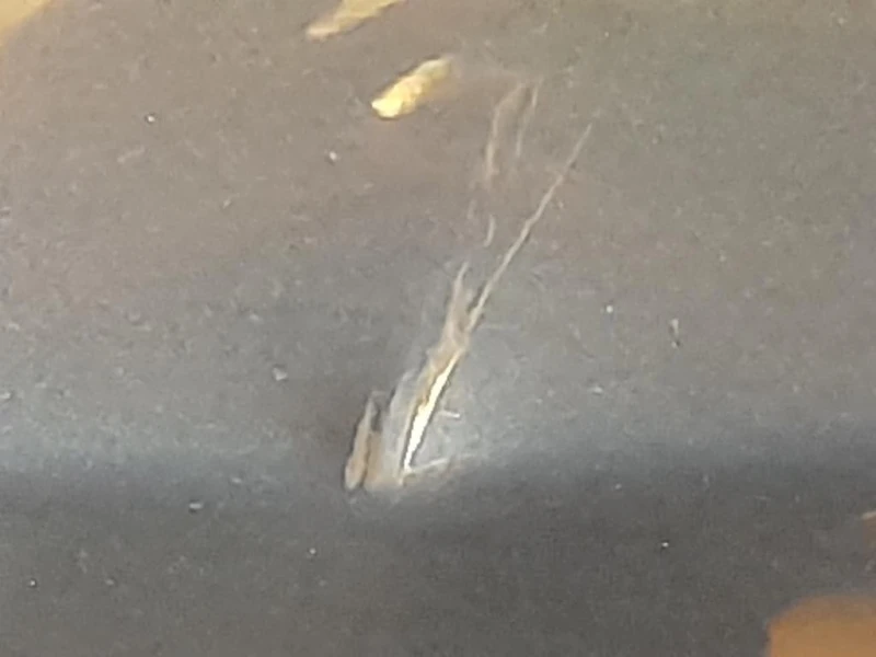 Porta POST SX Opel Meriva B 2010