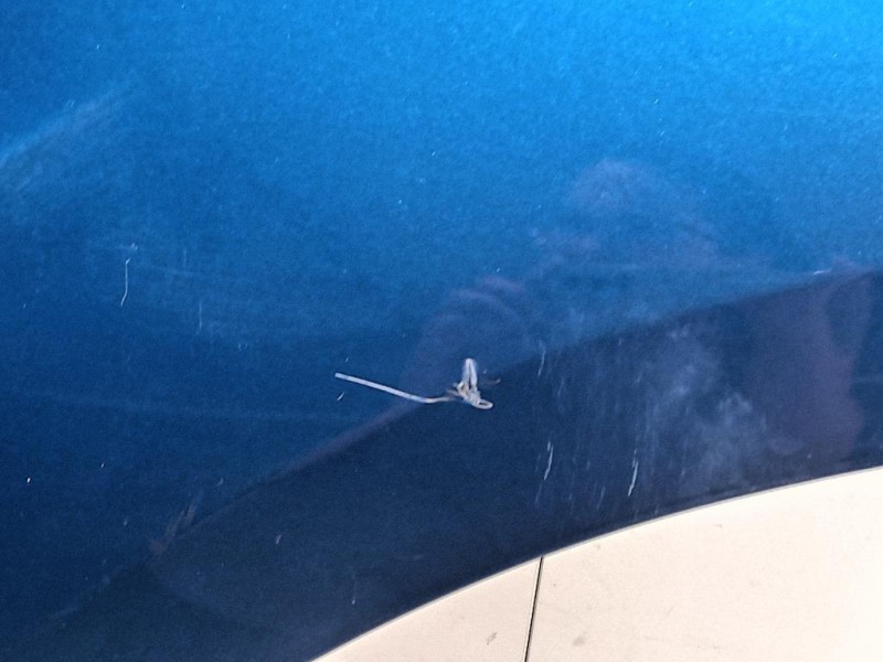 Porta POST SX 42558667 Opel Mokka 2013