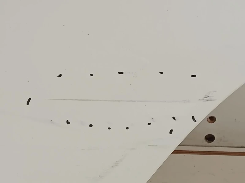 Porta POST SX 670040D210 Toyota Yaris IV 2012