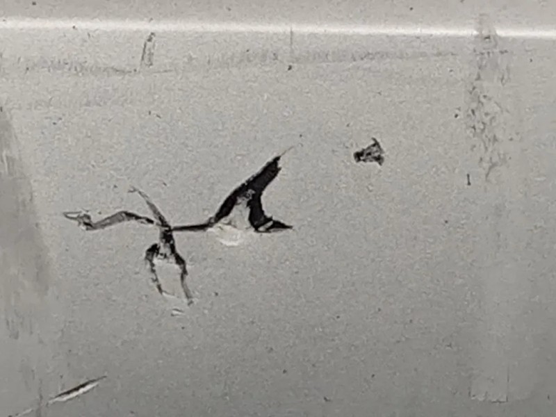 Paraurti POST 95352038 Opel Mokka 2013