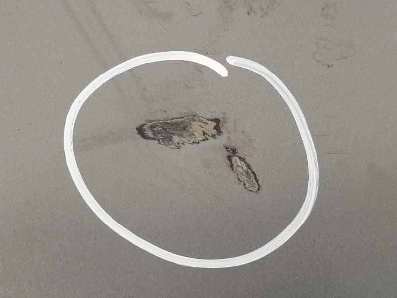 Portello POST 41627168761 Bmw Serie 5 E60 Berlina 2004