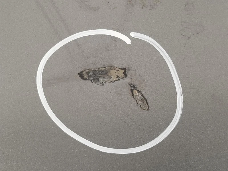 Portello POST 41627168761 Bmw Serie 5 E60 Berlina 2004