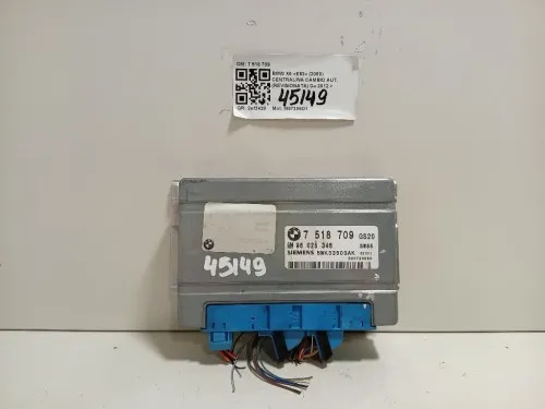 Centralina Cambio Autrevisionata 7 518 709 Bmw X5 E53 2000