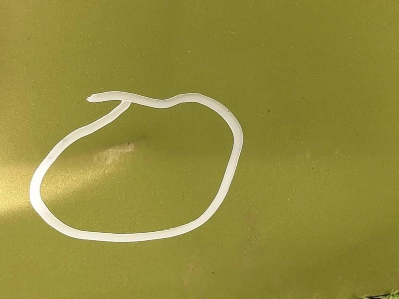 Portello POST 8701CG Citroen C3 II 2010