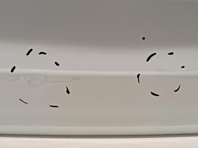 Portello POST PORTELLO POST Dacia Duster III 2024