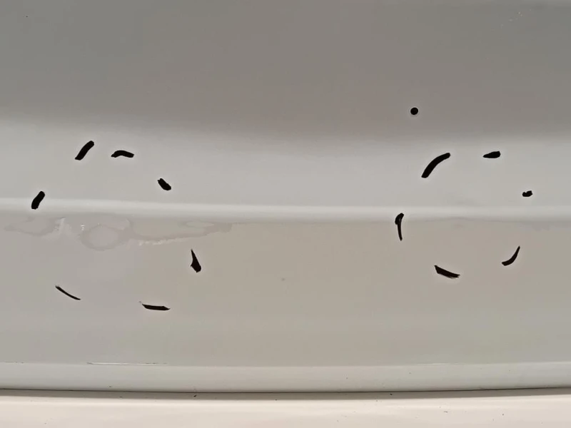 Portello POST PORTELLO POST Dacia Duster III 2024