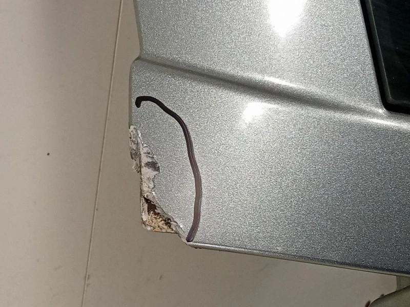 Portello POST K1CZ91ZZZAC Dodge Journey 2009