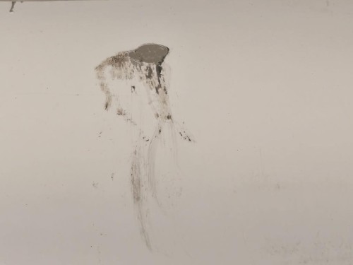 Centralina Iniezione F1F112A650RC Ford Focus IV 2014