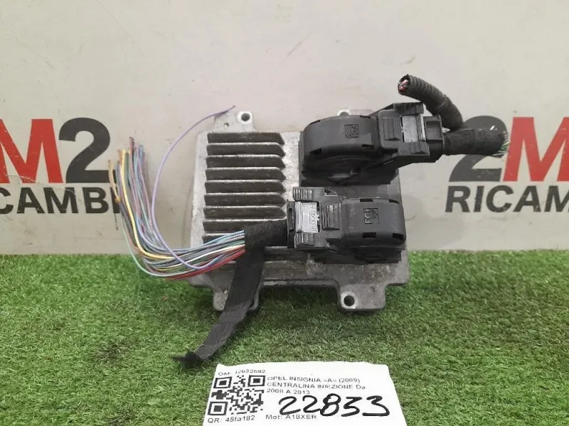 Centralina Iniezione 12632592 Opel Insignia A 2009