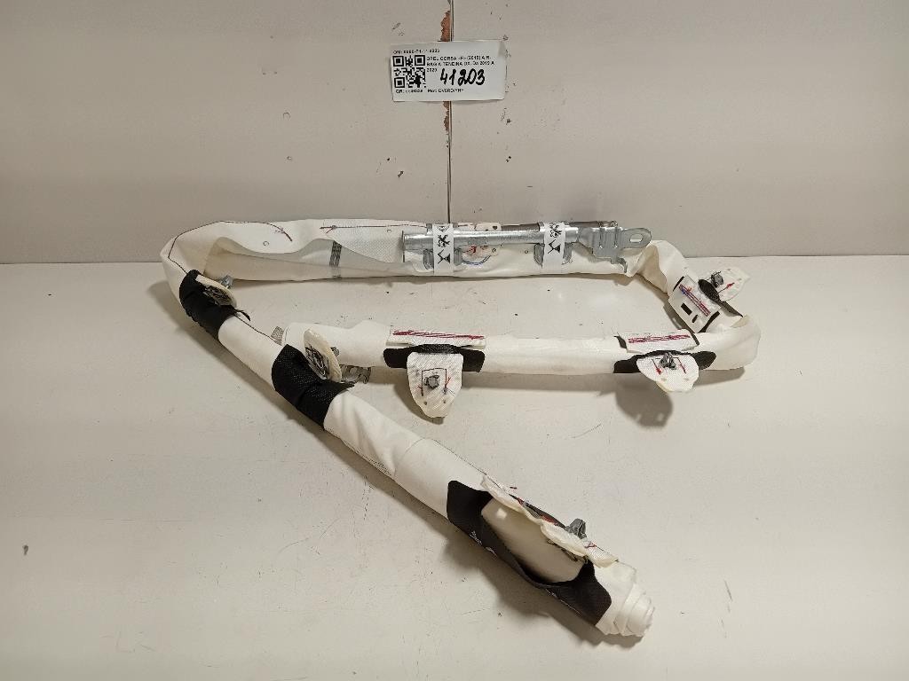 Air-bag A Tendina DX 13222999 Opel Insignia A 2009