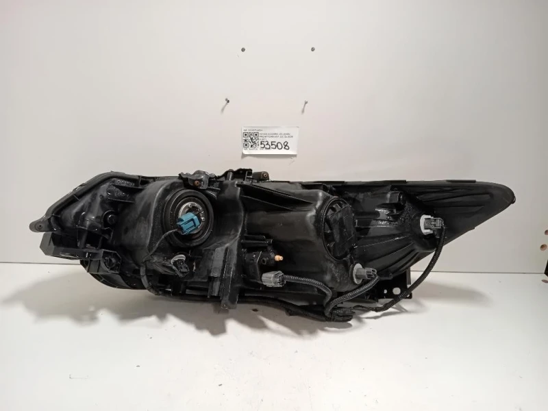 Proiettore ANT DX 33100TL0G01 Honda Accord IX 2009