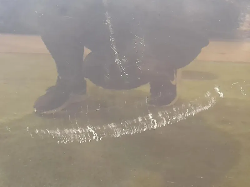 Porta ANT DX PORTA PORTIERA SPORTELLO AUDI TT Audi TT 8J3 2007