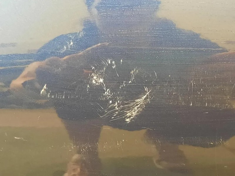 Porta ANT DX SPORTELLO PORTA Bmw Serie 1 F20 Berlina 2012