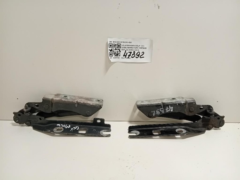 Cerniera Cofano ANT 5K0 823 301B DX+SX Volkswagen GOLF VI 2009