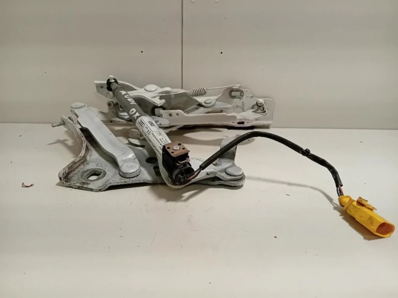 Cerniera Cofano ANT DX 8W0 823 302 E Audi A4 8W5 Avant 2015