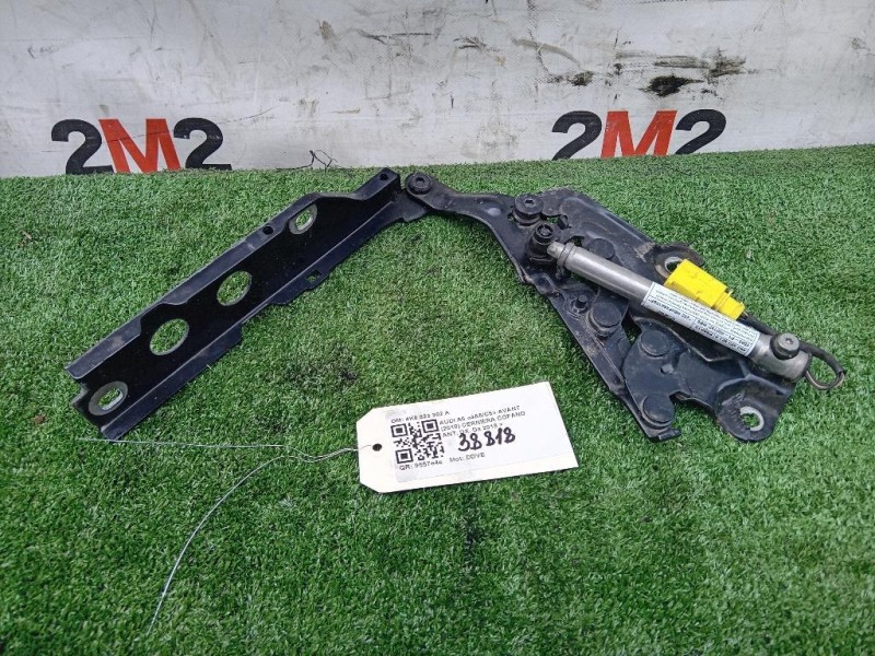 Cerniera Cofano ANT DX 4K0823302A Audi A6 4a5c8 Avant 2018