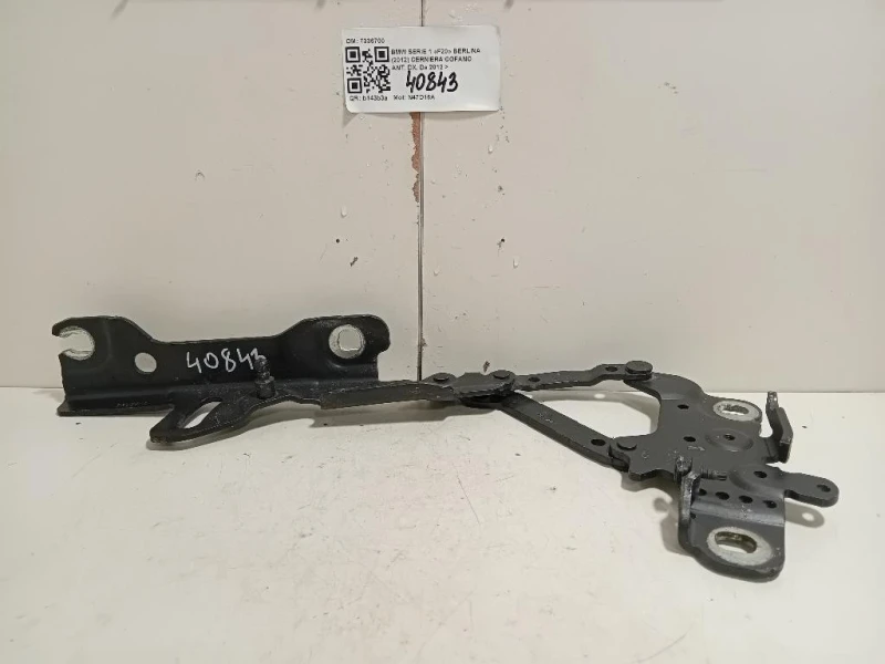 Cerniera Cofano ANT DX 7336700 Bmw Serie 1 F20 Berlina 2012