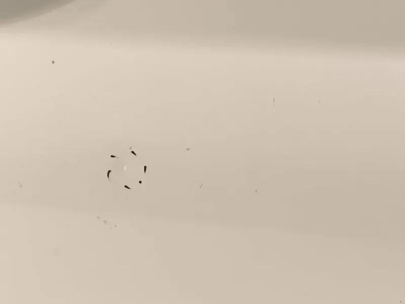 Porta ANT DX 41009628760 Bmw Serie 1 F20 Berlina 2015