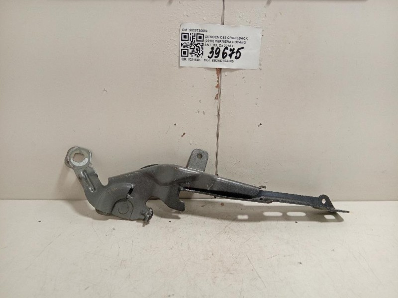 Cerniera Cofano ANT DX 9820730680 Citroen DS3 Crossback 2018