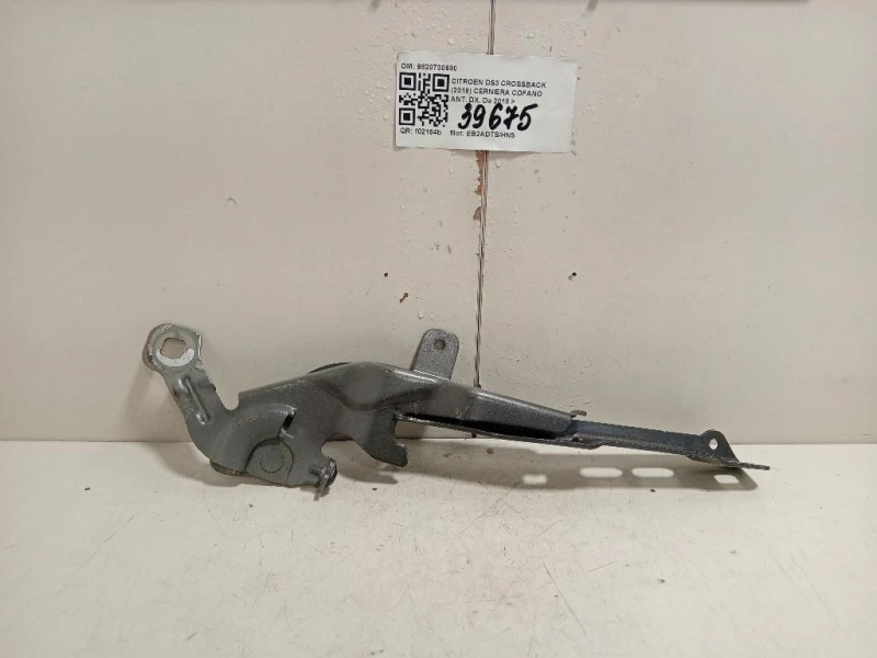 Cerniera Cofano ANT DX 9820730680 Citroen DS3 Crossback 2018