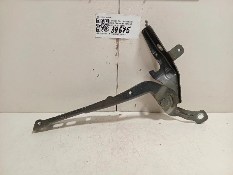 Cerniera Cofano ANT DX 9820730680 Citroen DS3 Crossback 2018