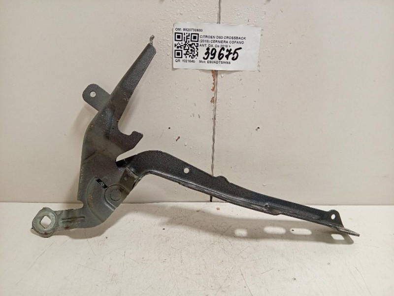 Cerniera Cofano ANT DX 9820730680 Citroen DS3 Crossback 2018