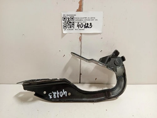 Cerniera Cofano ANT DX 654006928R Dacia Duster II 2018