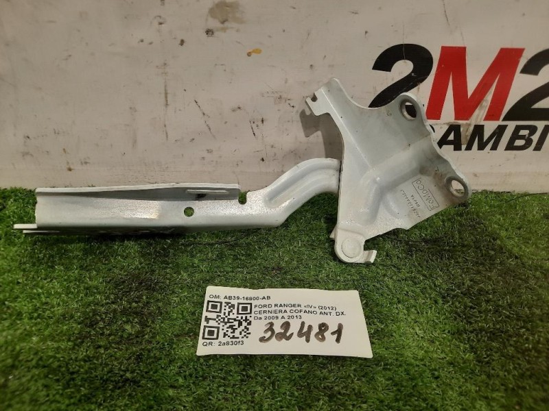 Cerniera Cofano ANT DX AB39-16800-AB Ford Ranger IV 2012
