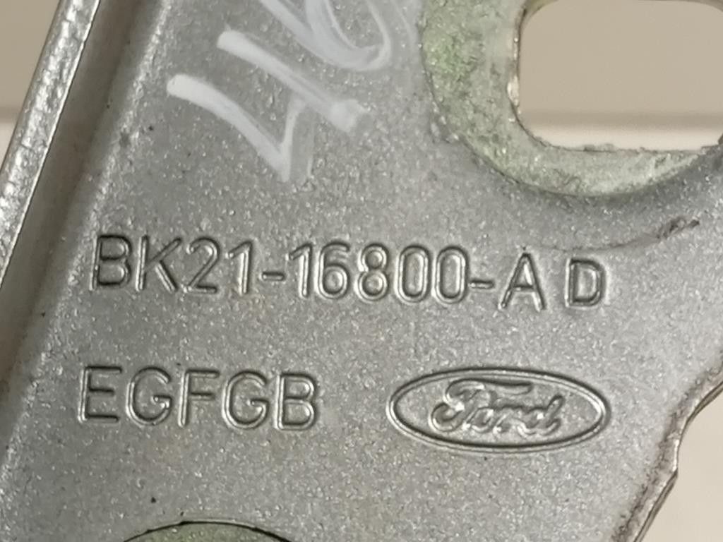 Cerniera Cofano ANT DX BK21-16800-AD Ford Transit Custom I 2013