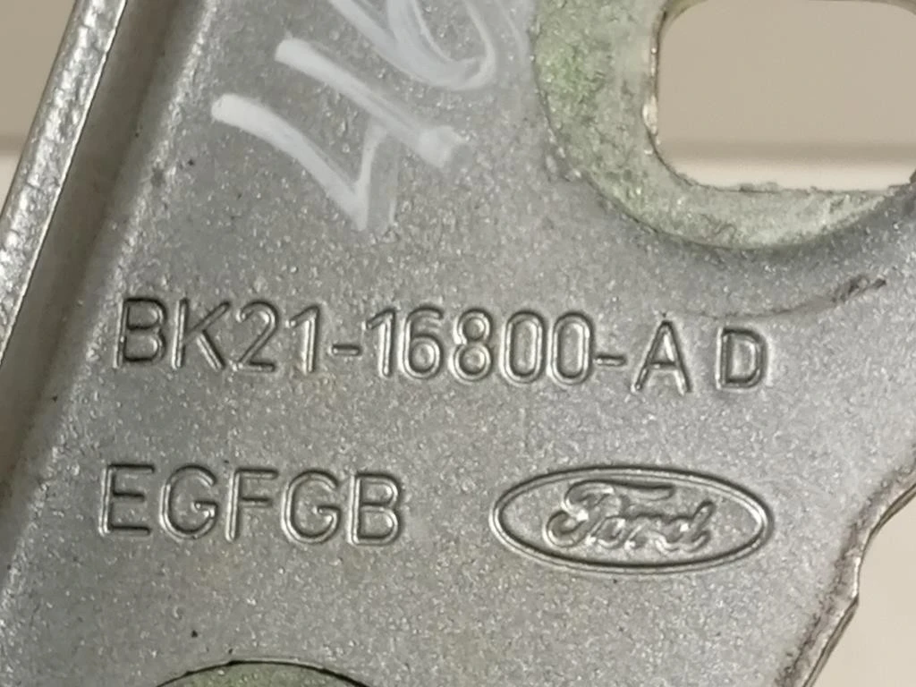 Cerniera Cofano ANT DX BK21-16800-AD Ford Transit Custom I 2013