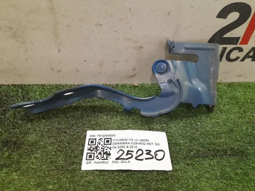 Cerniera Cofano ANT DX 791200X000 Hyundai I10 I 2008