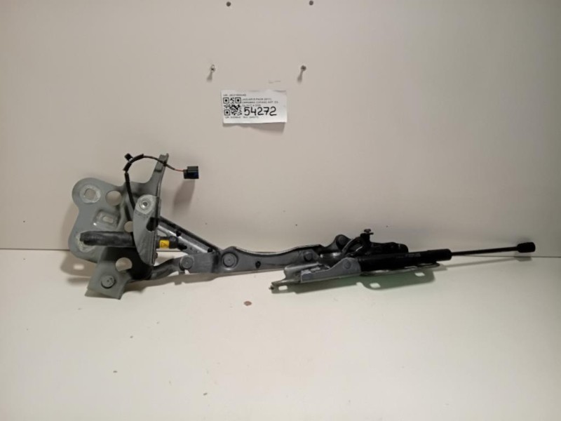 Cerniera Cofano ANT DX J9C316800AB Jaguar E-pace 2017