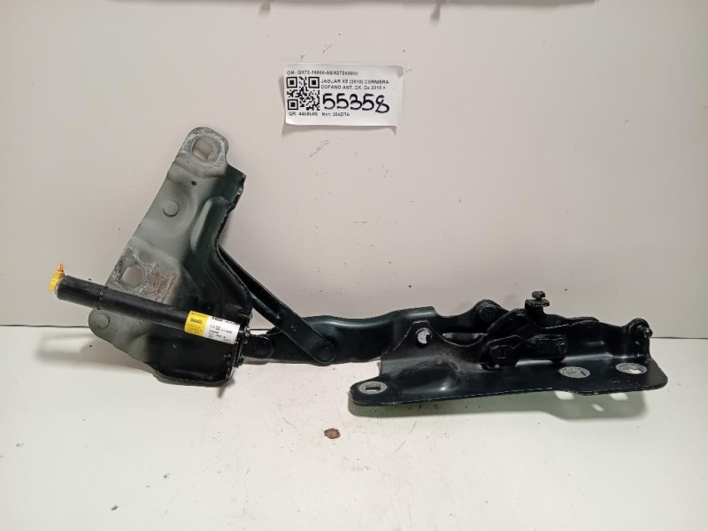 Cerniera Cofano ANT DX GX73-16800-AE627243900 Jaguar XE 2015