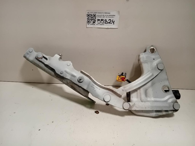 Cerniera Cofano ANT DX CX73-16800-AEGX73-16E634AD Jaguar XE 2015
