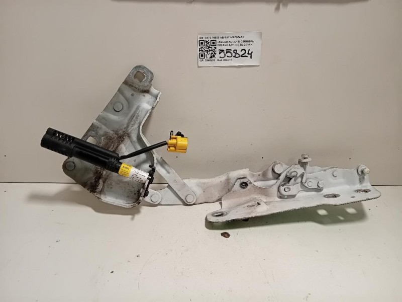 Cerniera Cofano ANT DX CX73-16800-AEGX73-16E634AD Jaguar XE 2015