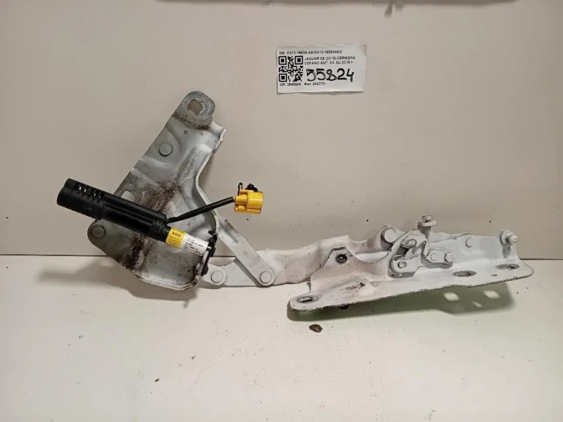 Cerniera Cofano ANT DX CX73-16800-AEGX73-16E634AD Jaguar XE 2015