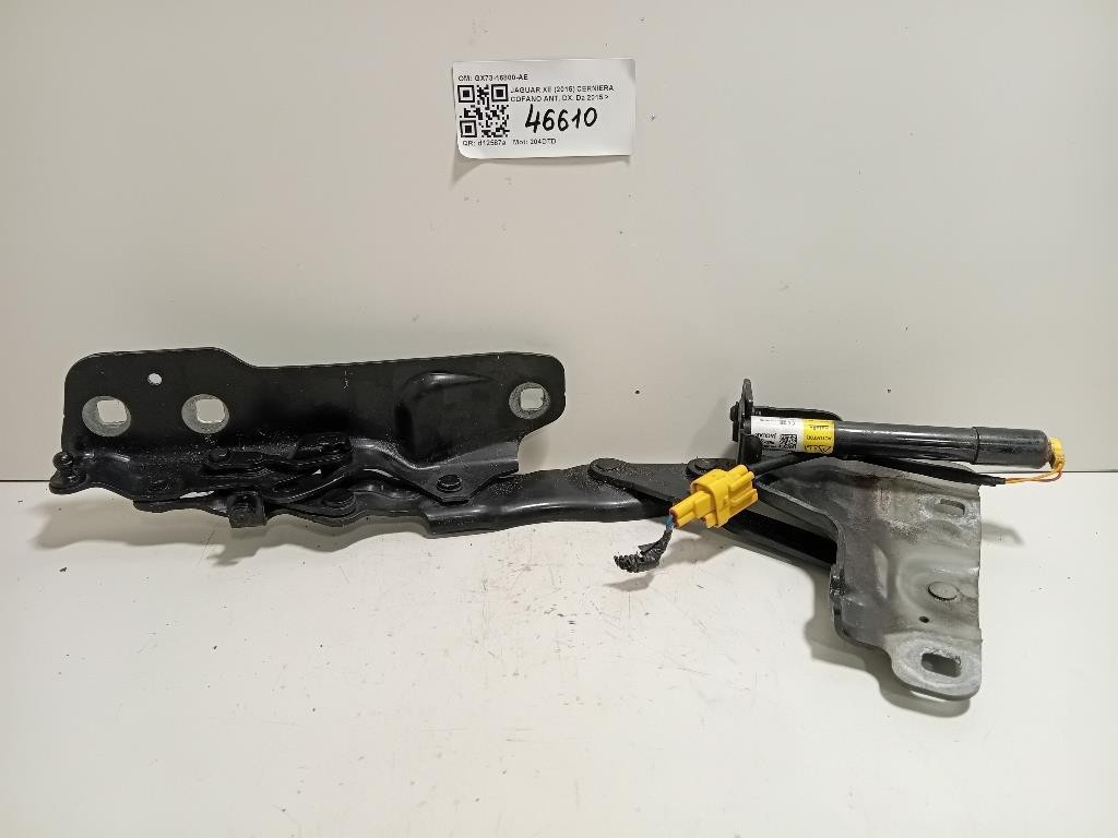 Cerniera Cofano ANT DX GX73-16800-AE Jaguar XE 2015