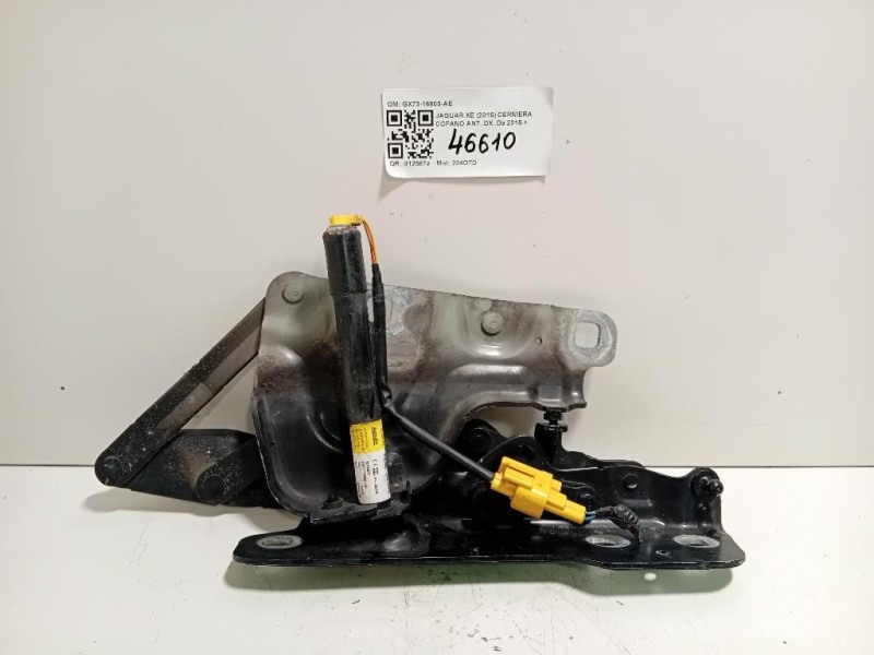 Cerniera Cofano ANT DX GX73-16800-AE Jaguar XE 2015