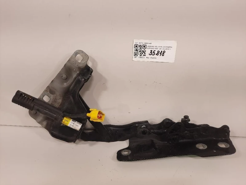 Cerniera Cofano ANT DX GX73-16800-AE Jaguar XE 2015