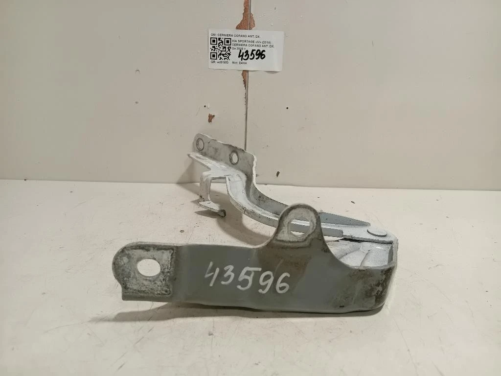 Cerniera Cofano ANT DX CERNIERA COFANO ANT DX Kia Sportage IV 2018