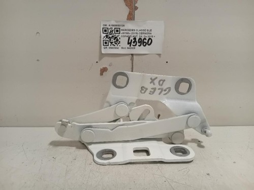 Cerniera Cofano ANT DX A1668800128 Mercedes Classe GLE W166 2015