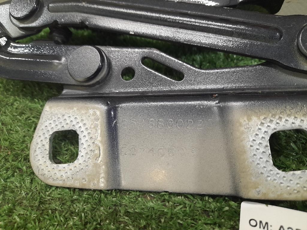 Cerniera Cofano ANT DX A2518800228 Mercedes Classe R W251 2006