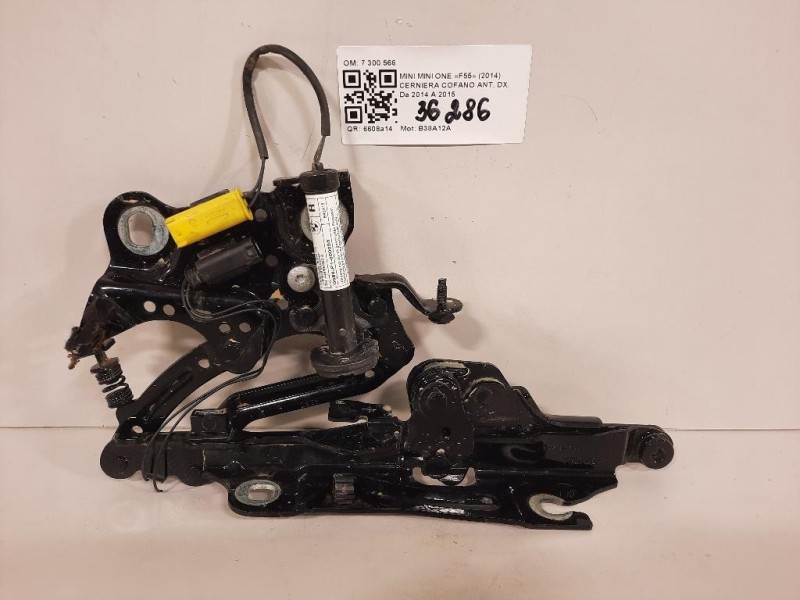 Cerniera Cofano ANT DX 7300566 Mini MINI ONE F55 2014