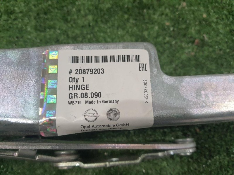 Cerniera Cofano ANT DX 20879203 Opel Astra J 2010