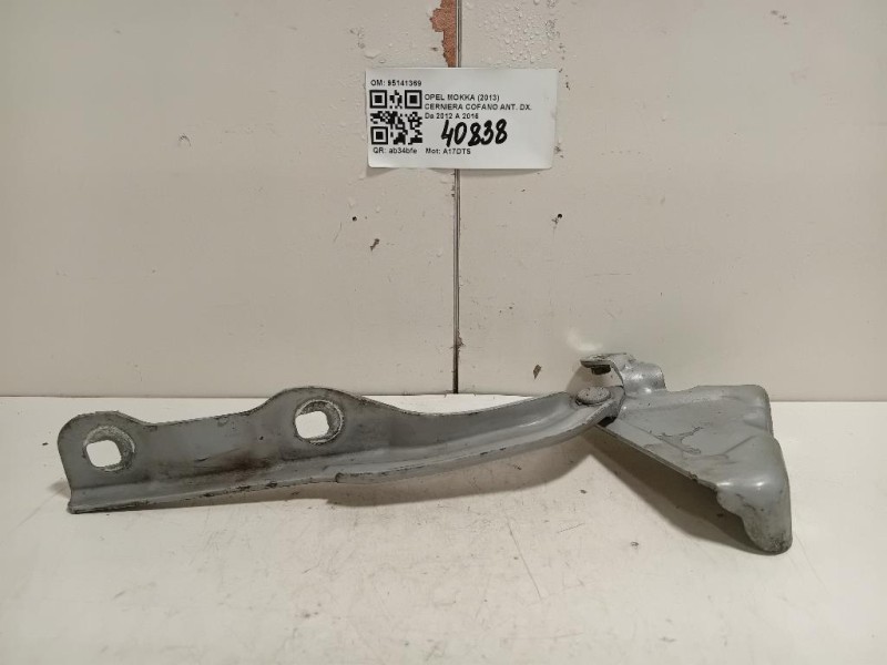 Cerniera Cofano ANT DX 95141369 Opel Mokka 2013