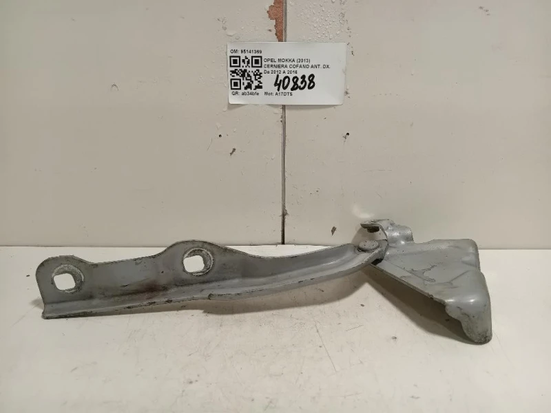 Cerniera Cofano ANT DX 95141369 Opel Mokka 2013