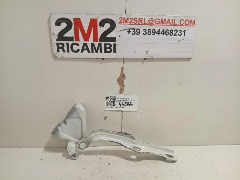 Cerniera Cofano ANT DX 95141369 Opel Mokka 2013