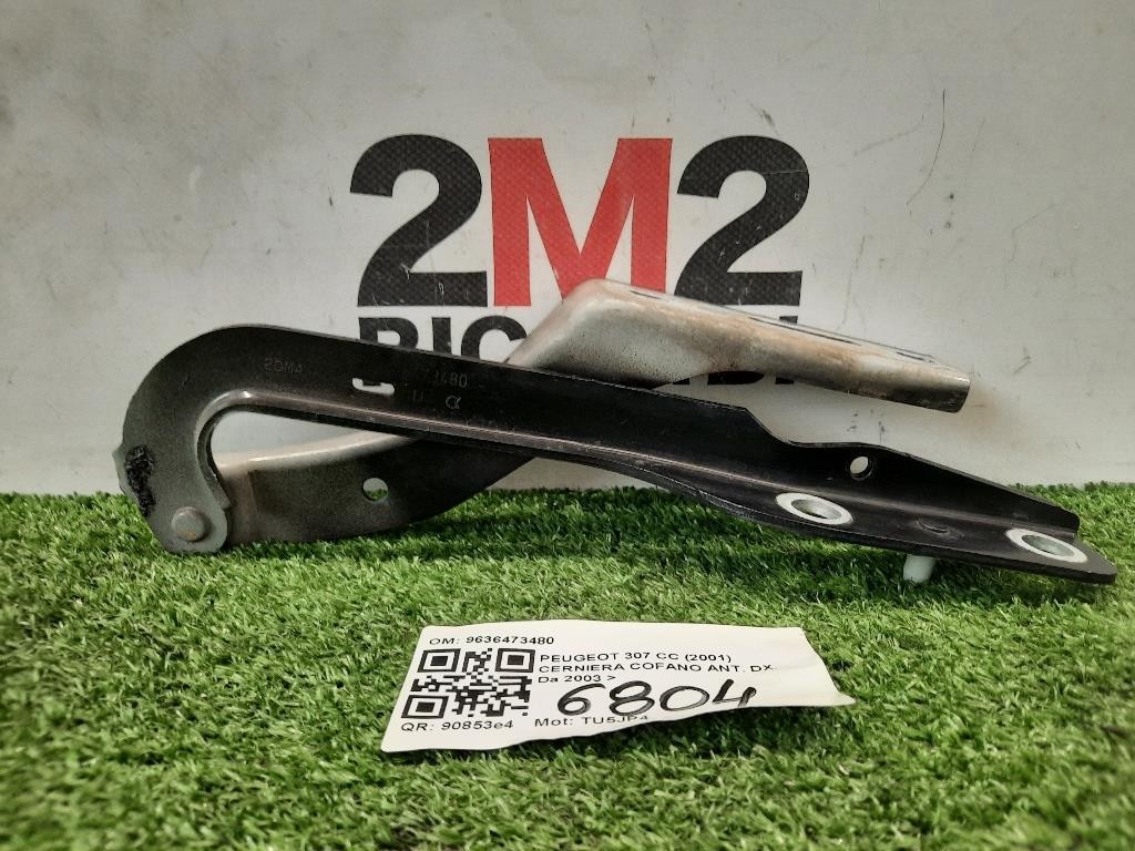 Cerniera Cofano ANT DX 9636473480 Peugeot 307 CC 2001