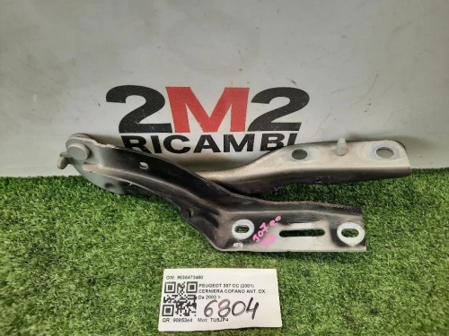 Cerniera Cofano ANT DX 9636473480 Peugeot 307 CC 2001